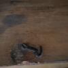 Wooden Pie Safe with Punched Tin Sides - Contents not Included - 4