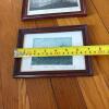 5" x 7" Pair of Signed Etching Prints by Robert Aiello - &ldquo;Lonely Tree&rdquo; and &ldquo;Water Weeds&rdquo; - 12