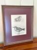 15"x18" Framed Ornithological Print
