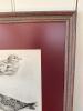 15"x18" Framed Ornithological Print - 5