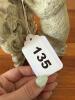Rabbit Decorative Bookend - 4