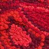 Hand-Hooked Wool Rug with Red Roses, 2' x 3' - 10