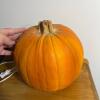 Vintage Halloween & Fall Decor Lot - 11