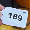 Vintage Halloween & Fall Decor Lot - 14