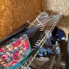 Mystery Closet Lot: Clothing, Bags, & More! - 3