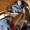 Mystery Closet Lot: Clothing, Bags, & More! - 4