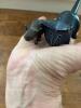 Hand-Carved Soapstone Cat Figurine & Cast Iron Mouse Figure