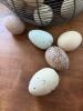 Vintage Wire Hen Egg Basket, Breadboard and Knife - 4