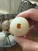 Vintage Wire Hen Egg Basket, Breadboard and Knife - 10