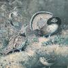 18"x21" 1944 Lynn Bogue Hunt "Ruffed Grouse and Woodcock" Framed Print - 2