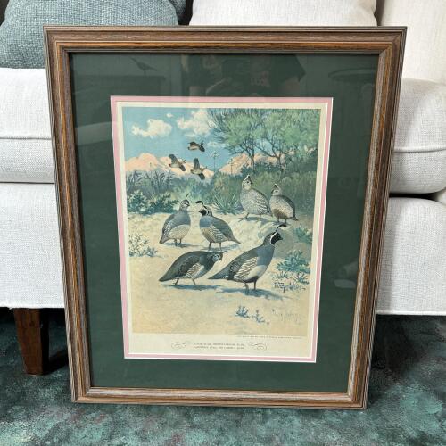 18" x 21" 1944 Lynn Bogue Hunt Quail Framed Lithograph
