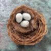 Twig Wreath and Faux Bird Nests - 4
