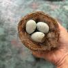 Twig Wreath and Faux Bird Nests - 5