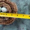 Twig Wreath and Faux Bird Nests - 6