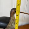 Hand-Carved Wooden Shorebird Decoy - 5