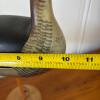 Hand-Carved Wooden Shorebird Decoy - 6