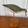 Carved Wooden Spotted Sandpiper Decoy by Sandy Burn