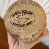 Carved Wooden Spotted Sandpiper Decoy by Sandy Burn - 4