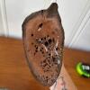 Hand-Carved Shorebird Decoy - 4