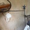 Garden Decor Lot in Half Whiskey Barrel - 2