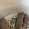 Antique 8-Gallon Stoneware Crock with Blue Shield Flower Mark - 5