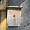 Four Decorative Birdhouses - 5