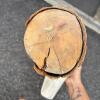 Decorative Wooden Shorebird Decoy on Bark Wood Base - 5