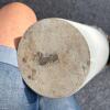 Decorative Concrete Planter Pot with Rose Relief Band - 3
