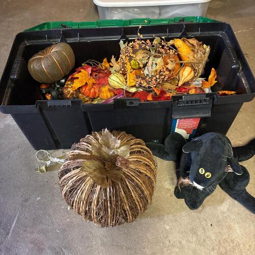 Halloween & Fall Decor Lot