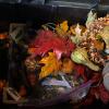 Halloween & Fall Decor Lot - 4