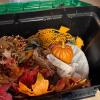 Halloween & Fall Decor Lot - 6