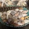 Mixed Decorative Marine Sea Shell and Nautical-Themed Decor Lot