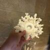Mixed Decorative Marine Sea Shell and Nautical-Themed Decor Lot - 3