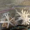 Mixed Decorative Marine Sea Shell and Nautical-Themed Decor Lot - 7