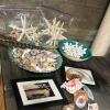 Mixed Decorative Marine Sea Shell and Nautical-Themed Decor Lot - 9