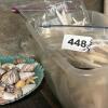 Mixed Decorative Marine Sea Shell and Nautical-Themed Decor Lot - 11