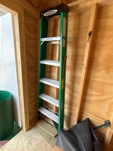 Werner 6 ft Step Ladder