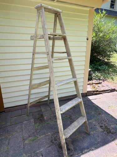 Chippy Painted Wooden Step Ladder