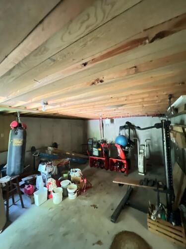 Basement Picker Lot No. 2: Weights, Snowblower, Ladders