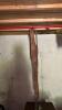 Basement Picker Lot No. 2: Weights, Snowblower, Ladders - 10