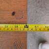 Five-Foot Long Wooden Bench - 5