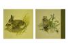 Pair of Framed Wildlife Prints by M.G. Loates, 17"x21"
