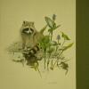Pair of Framed Wildlife Prints by M.G. Loates, 17"x21" - 2
