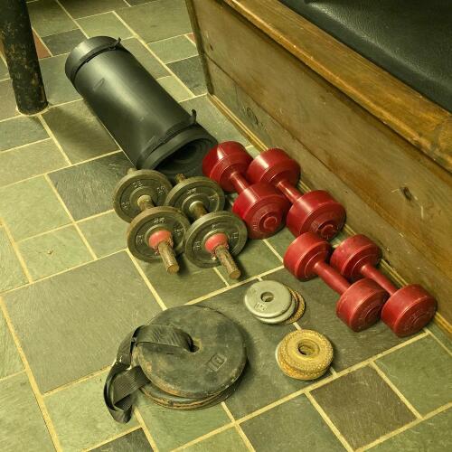 Assorted Dumbbells and Extra Weight Plates