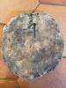 Pair of Signed Concrete Garden Plaques - 6