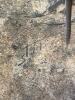 Pair of Signed Concrete Garden Plaques - 7