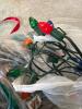 Christmas Light Collection - 3