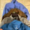 L.L.Bean Wool Sweaters, Fleece Pullovers & Vest - 8