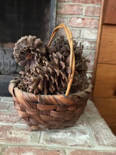 Woven Basket with Pine Cones