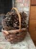 Woven Basket with Pine Cones - 2